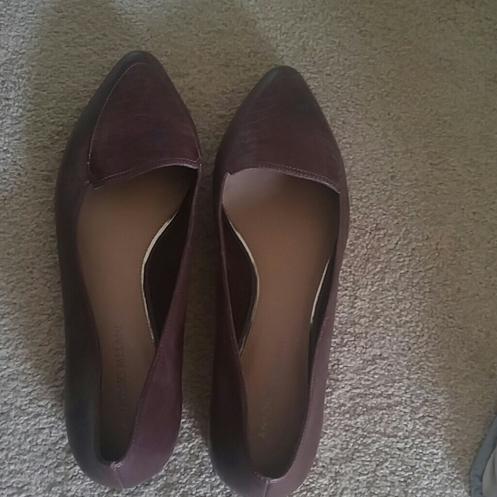 Antonio Melani crocodile flats